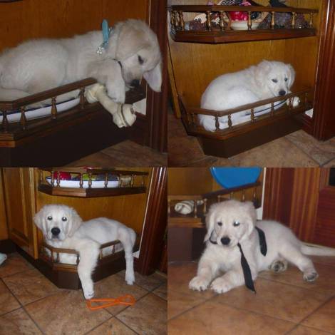 7ca93e0cf98b76055ee2e86d24b0110d