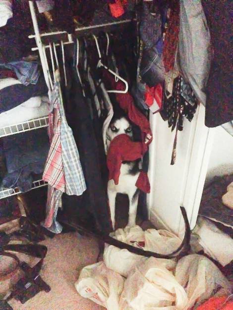 fa6e20408d420bab093c7cff332878db