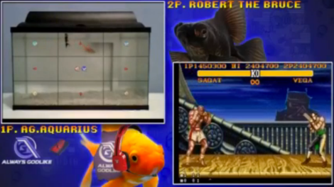 peces street fighter