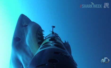 shark-attacks-camera