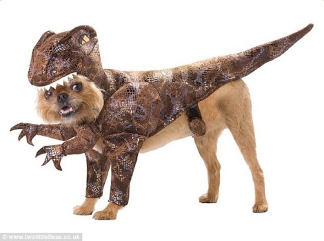 1414749842207_wps_7_image001_png