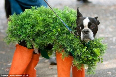 1414750141447_wps_8_image001_png