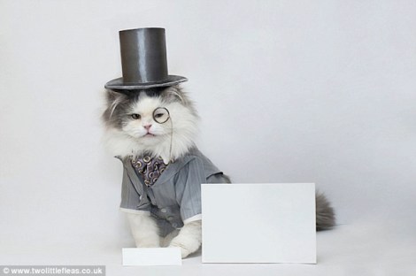 1414750508751_wps_10_image001_png