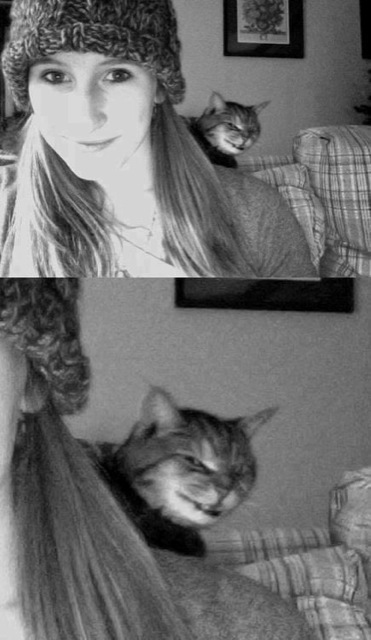 animal-photobombs-12