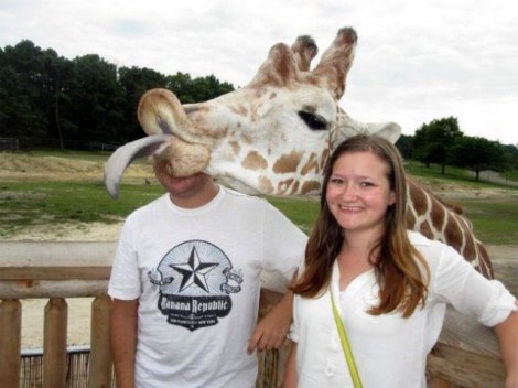 animal-photobombs-39