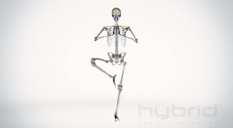 xrayYoga