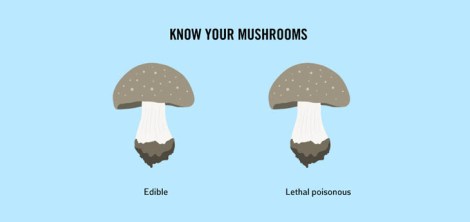 hurting-true-daily-life-facts-12